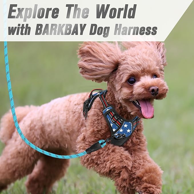 BARKBAY No Pull Dog Harness Front Clip Heavy Duty Reflective Easy Control Handle for Large Dog Walking(Star,XS)