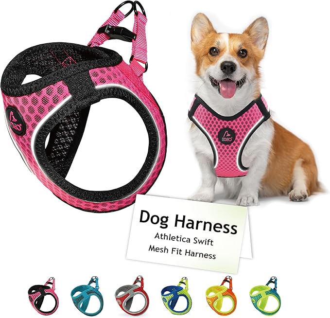 DOCO No Pull Dog Harness for Large Dogs | Adjustable Choke-Free Dog Vest with Breathable Air Mesh | Lightweight & Reflective for Training & Daily Walks – Pink, Medium (Chest 16–17 in, 10–15 lbs)