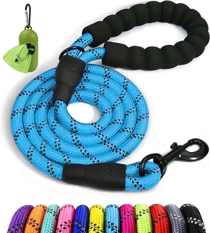 Taglory Rope Dog Leash 6FT with Comfortable Padded Handle, Highly Reflective Threads Leash for Small Dogs, 3/8 inch, Blue