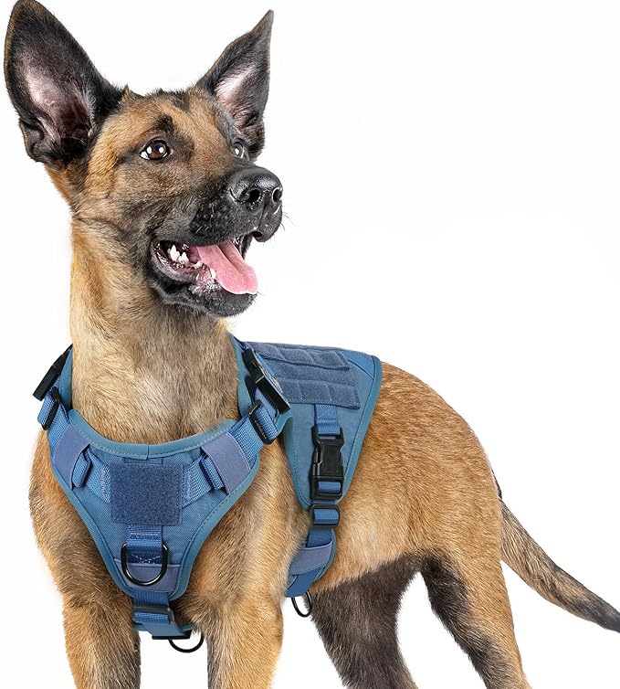 rabbitgoo Tactical Dog Harness for Small, Heavy Duty Pet Harness with Handle, No-Pull Service Vest Small Breed, Adjustable Military Dog Vest for Training Hunting Walking, Blue, S