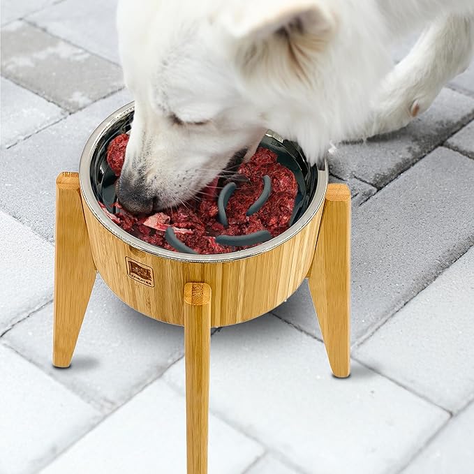 Dog Bowl Slow Feeder - 12-inch Tall, Elevated, Raised Single Food Station with Stand and Slow Feeder Insert, Suitable for Treats, Wet/Dry Pet Foods