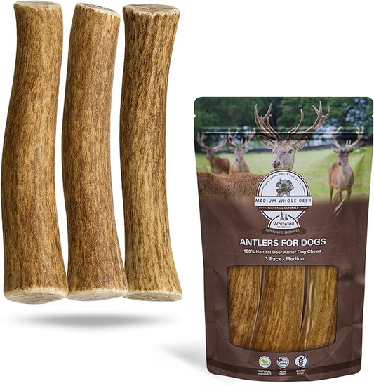 Whitetail Naturals Deer Antler Dog Chews (3 Pack Medium) - Long Lasting, Naturally Shed Whole Antlers for Dogs - Long Lasting Dog Bones for Power Chewers