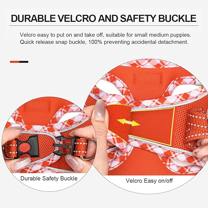 Mercano Soft Mesh Dog Harness and Leash Set, No-Chock Step-in Reflective Breathable Lightweight Easy Walk Vest Harnesses with Safety Buckle for Small Dogs, Cats (Tangerine, M)