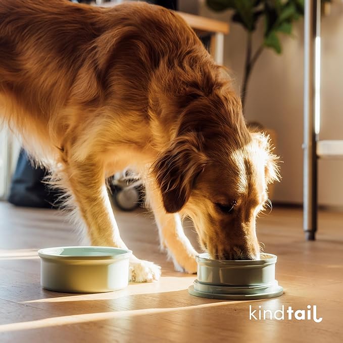 KindTail Dog Travel Bowls - Set of 2 Portable Pet Food & Water Dishes with Lid & Handle - Each Nesting Container Includes a Non-Slip Silicone Base - Microwave & Dishwasher Safe - BPA & Toxin-Free