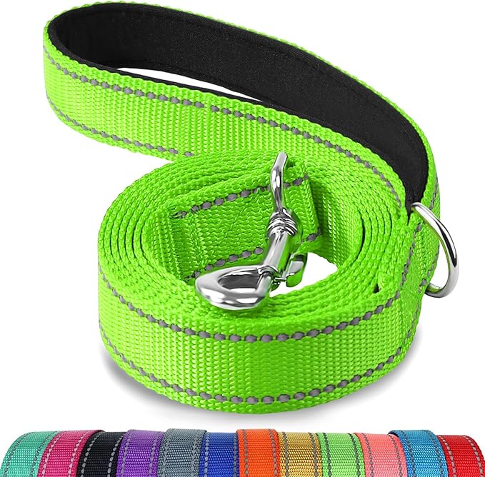 Joytale Dog Leash Heavy Duty for Small Medium Dogs, 5 FT Reflective Nylon Pet Walking Lead with Soft Padded Handle, Durable & Tangle Free for Training, Running & Safety Control, Green