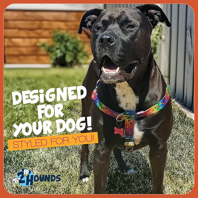 2 Hounds Design - Freedom No-Pull Harness & Training Leash in Blue and Rainbow | Dual Leash Loops, No Pulling on Walks | Lined to Prevent Chaffing | for Large Sized Dogs (Size L, Chest 28”- 32”)