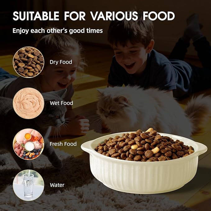 Cat Food Bowl with Handle, 6 inch Ceramic Cat Food and Water Feeder Set, Modern Vertical Texture Design, Kitten Bowls for Indoor Cats and Small Dogs, Microwave Dishwasher Safe, Beige- 2 Pack