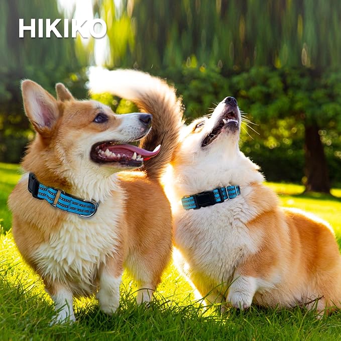 Hikiko Martingale Dog Collars Reflective Nylon Dog Collar with Quick Release Buckle Adjustable Training No Slip Dog Collar (Medium, Light Blue)
