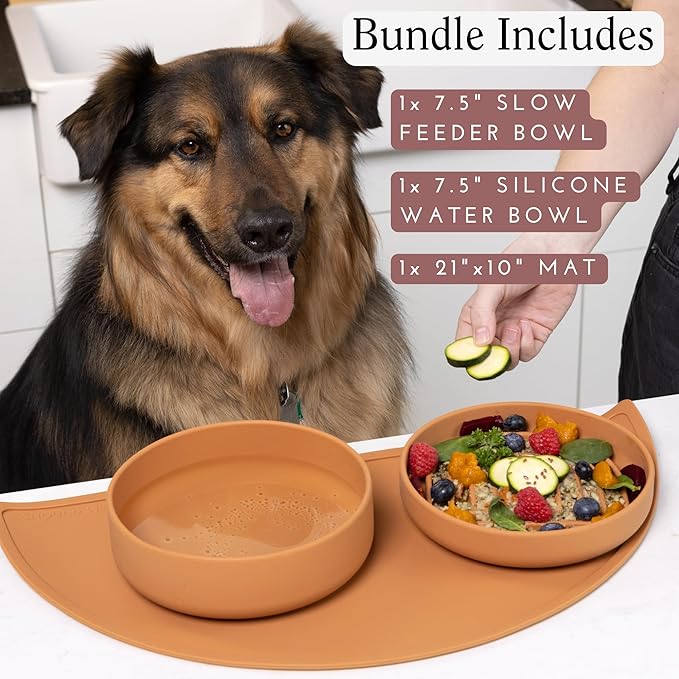 Should We Go? Complete Pet Feeding Set: Slow Feeder & Water Bowl with Spill-Proof Silicone Mat - Ideal for Small to Medium Dogs, Non-Slip, Easy Clean, Raised Edges, Durable Silicone - Charcoal
