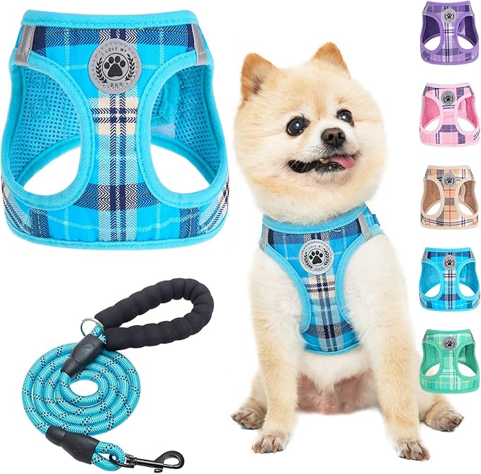 BEAUTYZOO Small Dog Harness and Leash Set,Step in No Choke No Pull Soft Mesh Dog Harnesses Reflective for Extra-Small Medium Puppy Dogs and Cats, Plaid Dog Vest Harness for XS S Pets, Blue XS