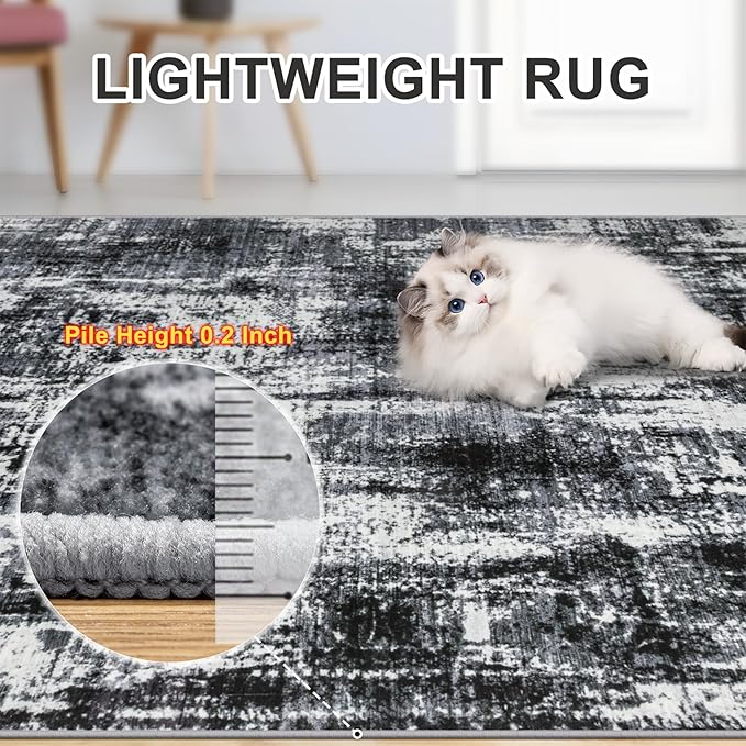 Area Rugs 9x12 Living Room - Washable Rug Modern Abstract Soft Large Neutral Non-Slip Carpet Indoor Floor Thin Carpets for Bedroom Dining Room Farmhouse Nursery Home Office Black