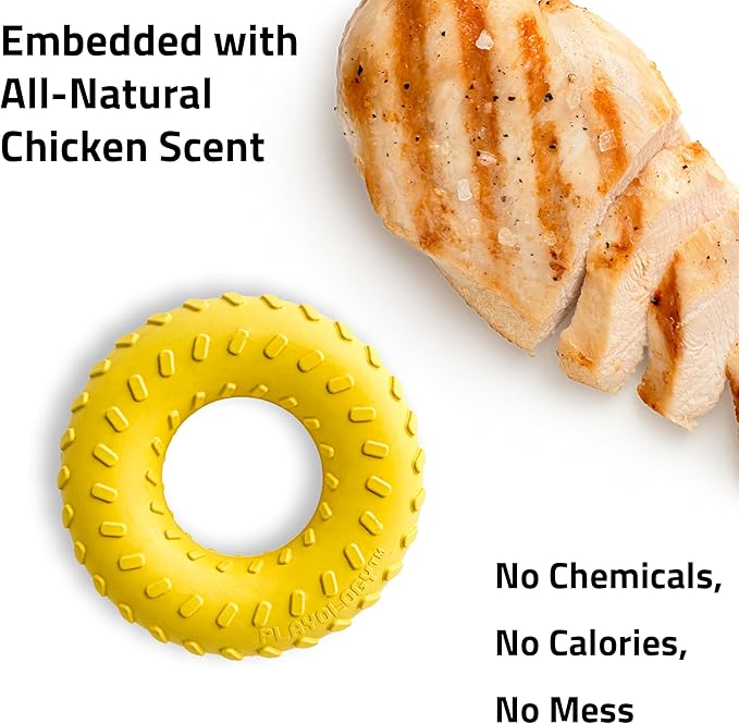 Playology Dog Toys | Dual Layer Ring Durable Chew Toy for Aggressive Chewers | Medium Chicken Scented Toy - Easy to Clean and Made from Non Toxic Materials