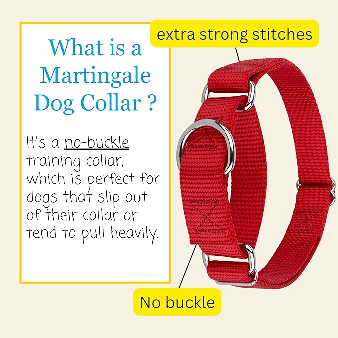 Country Brook Petz - Martingale Dog Collar - Heavy-Duty Training Collar with No Buckle - Service Dog Collar for All Pups - 10+ Warm Colors (Red, 1 Inch, Extra Large)