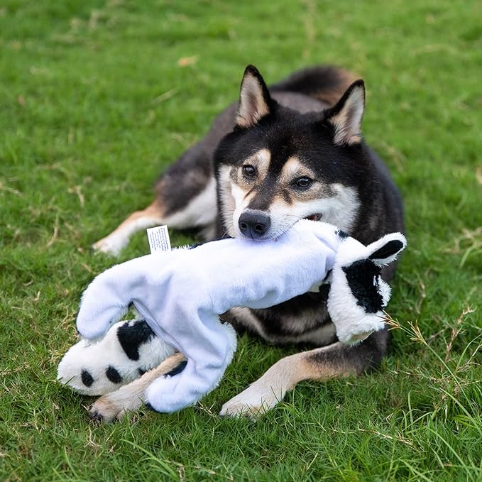 Best Pet Supplies Squeaky Dog Toys with Soft Durable Fabric for Small, Medium and Large Pets Interactive Toy for Indoor Play, Supports Active Biting and Play - Cow, Medium