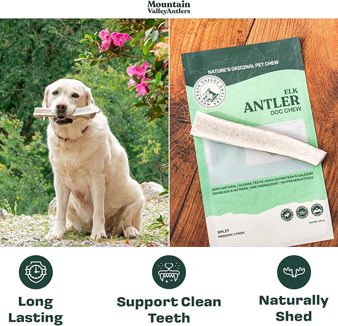 Mountain Valley Elk Antlers for Dogs - 100% Natural & Organic Chew for Aggressive Chewers, No Odor, No Mess, Long Lasting - Wild-Foraged Naturally Shed Antlers in USA - Grade A, Split Jumbo (1 Pack)
