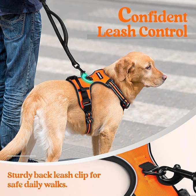 rabbitgoo Dog Harness No Pull with 2 Leash Clips, Adjustable Soft Padded, Reflective Oxford No Choke Pet Vest with Easy Control Handle for Medium Sized Dogs,Orange, M