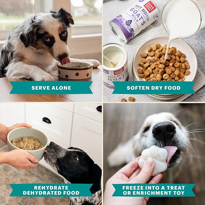 The Honest Kitchen Human Grade Daily Boosters: Instant Turkey Bone Broth With Turmeric, 3.6 Oz