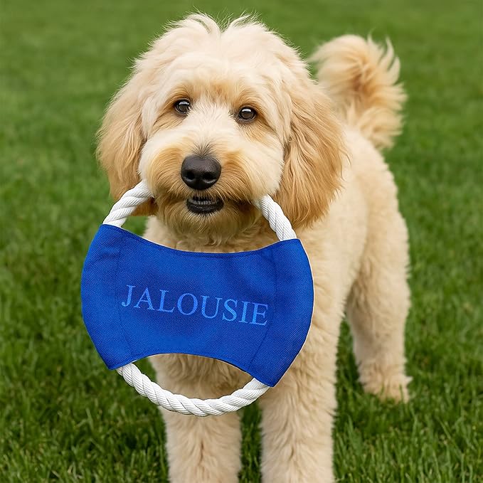 Jalousie Multipack Dog Squeaky Toys Bulk Bundle Pup Toy - Puppy Toys for Pets for Small Medium Breed (30 PCs Gift Basket)