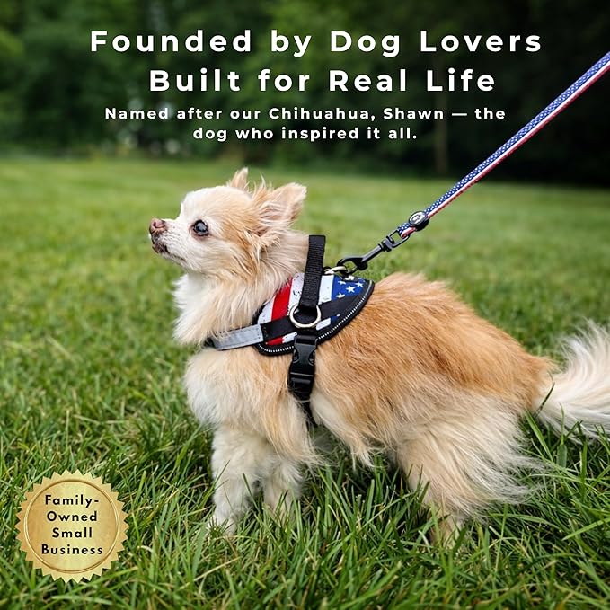 ShawnCo Essential Dog Harness, No-Pull Pet Vest with 3 Leash Clips, No Choke, Reflective, Adjustable and Padded, for Easy Walking and Training for Small, Medium and Large Dogs (Electric Blue,XL)