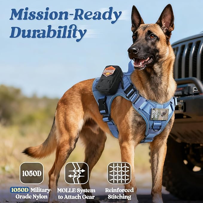 rabbitgoo Tactical Dog Harness Small Medium Sized, No Pull Upgraded Reflective Heavy Duty Molle Vest with Handle, Adjustable Military Service Dog Vest for Walking Hiking Training, Blue, S