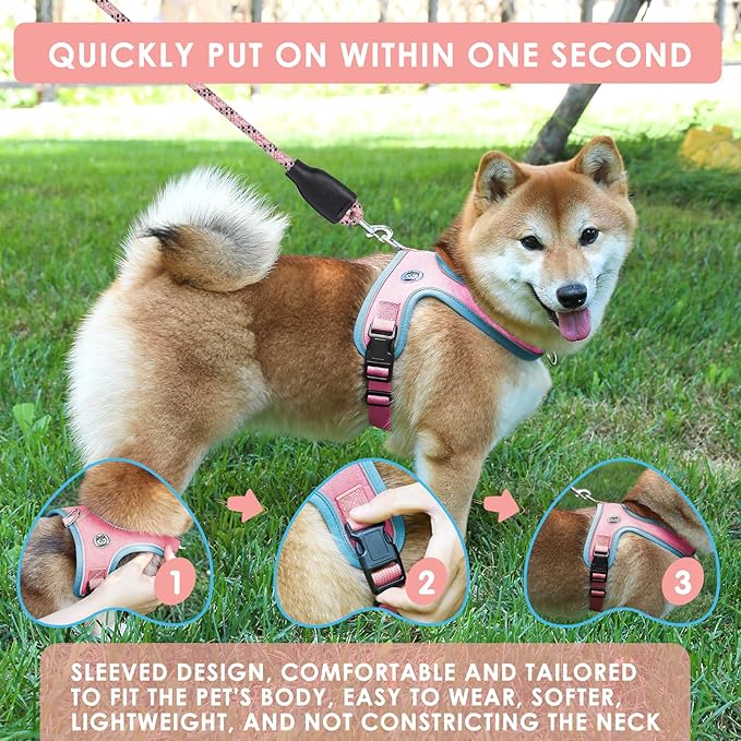 Dog Harness and Leash Set, No Pull Saddle Style Pet Harness, Breathable Mesh Adjustable Reflective Dog Vest for Dogs and Cat Medium Small Harness 2 D-Rings (Pink, M)