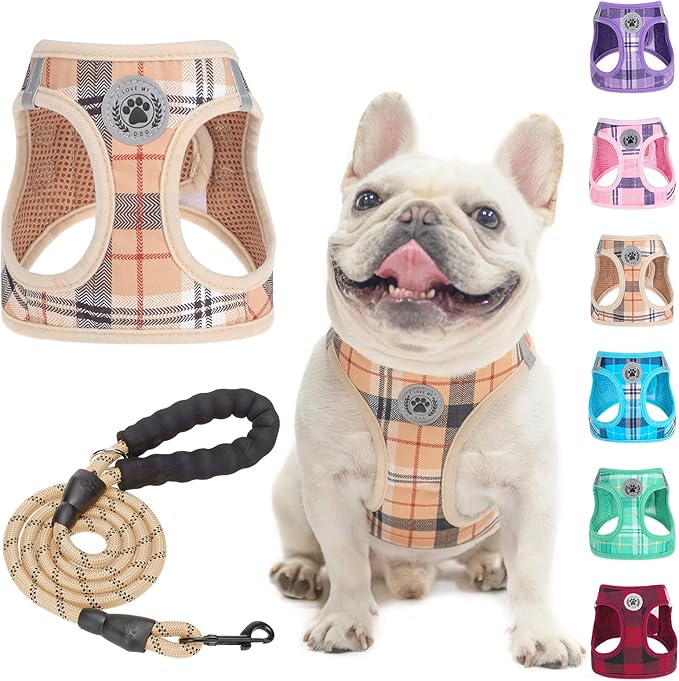 BEAUTYZOO Small Dog Harness and Leash Set,Step in No Choke No Pull Soft Mesh Dog Harnesses Reflective for Extra-Small/Small Medium Puppy Dogs and Cats, Plaid Dog Vest Harness for XS S Pets, Beige M