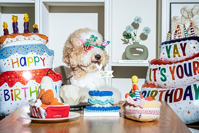 Birthday Bone Interactive Dog Toy - Interactive Tug Rope Pet Toy - Cute Unique Design Party Birthday Gift - Small Medium Puppy - Durable Chew Resistant Plush with Squeaker for Teething (Pink)
