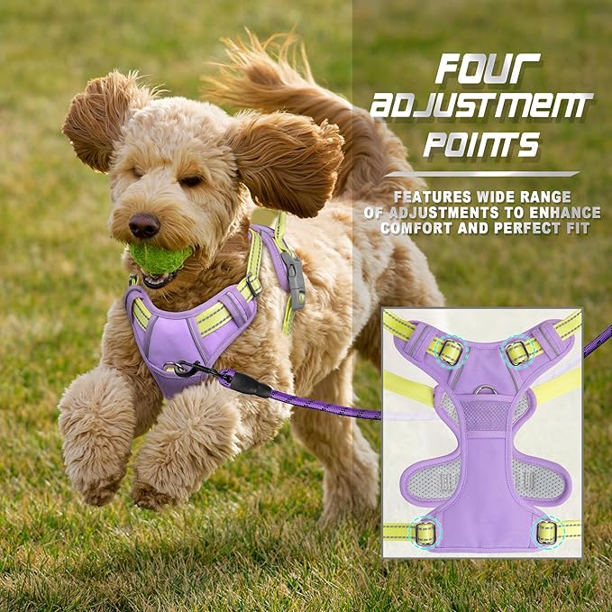 BARKBAY No Pull Dog Harness Front Clip Heavy Duty Reflective Easy Control Handle for Large Dog Walking(Violet Purple & Sunlight,XS)