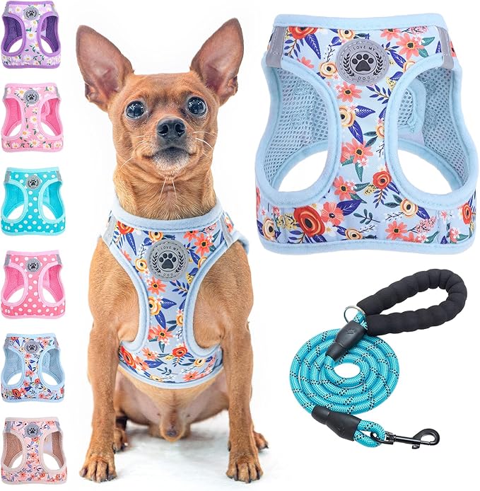 BEAUTYZOO Step in Dog Harness and Leash Set, Floral Pattern Reflective Dog Harness No Pull No Choke Puppy Harness for XXS XS S Dogs Cats, Soft Padded Mesh Vest Harnesses for Girl and Boy Pets