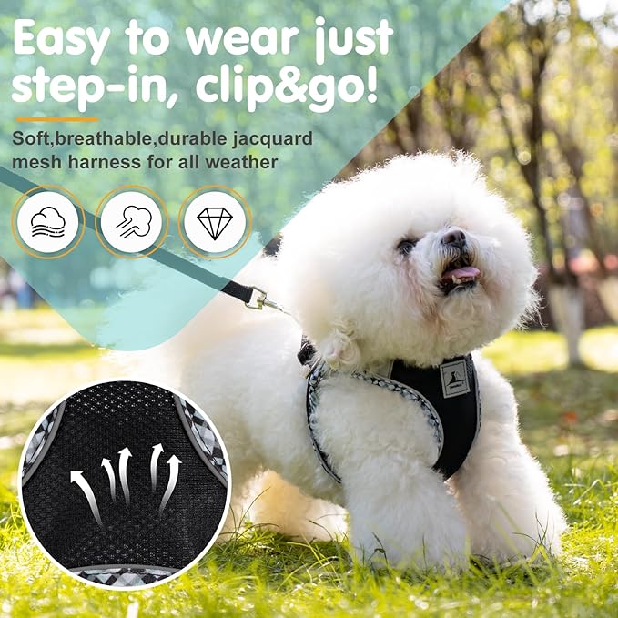 Dog Harness & Leash Set - No Pull Soft Breathable Small Dog Harness, Adjustable Reflective Step-in Vest for Puppy, Kitten, Cats