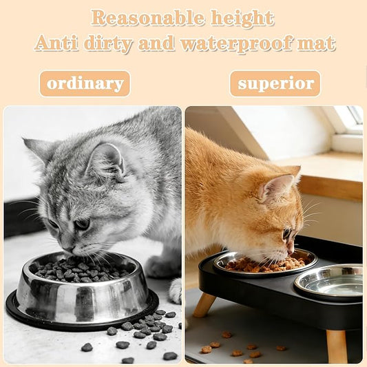 Elevated Cat Bowls with Food Mat, Splash Proof Anti Vomiting Raised Cat Food and Water Bowl Set, 2 Stainless Steel Dishes for Cats and Puppy, Pet Bowl for Indoor Cats Black