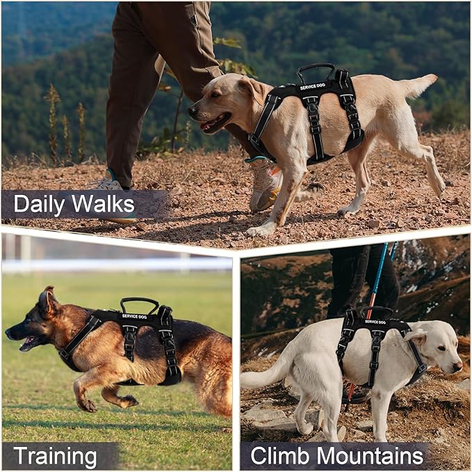 Escape Proof Dog Harness for Large Medium Sized Dogs Six Point Adjustable, Service Dog Vest Harness and Leash Set, No Pull Dogs Harnesses with Handle, Medium Dog Harnesses for Walking(Black, S)