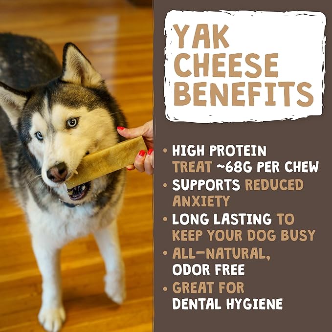 Mighty Paw Yak Cheese Chews for Dogs | All-Natural Long Lasting Pet Treats. Odorless and Great for Oral Health. Limited-Ingredient Chews for Puppies & Power-Chewers (Small, 12 Pack)