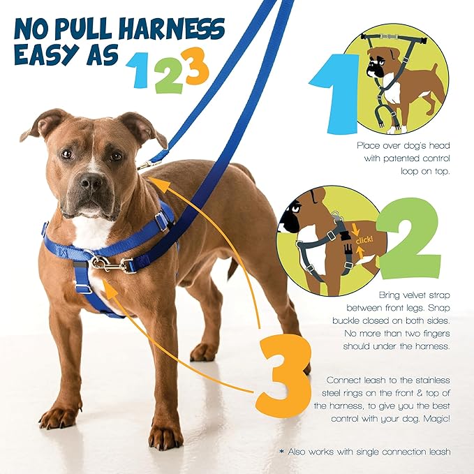 2 Hounds Design - Freedom No-Pull Harness & Training Leash in Pink and Blue | Dual Leash Loops, No Pulling on Walks | Lined to Prevent Chaffing | for Small Sized Dogs (Size S, Chest 20”- 24”)