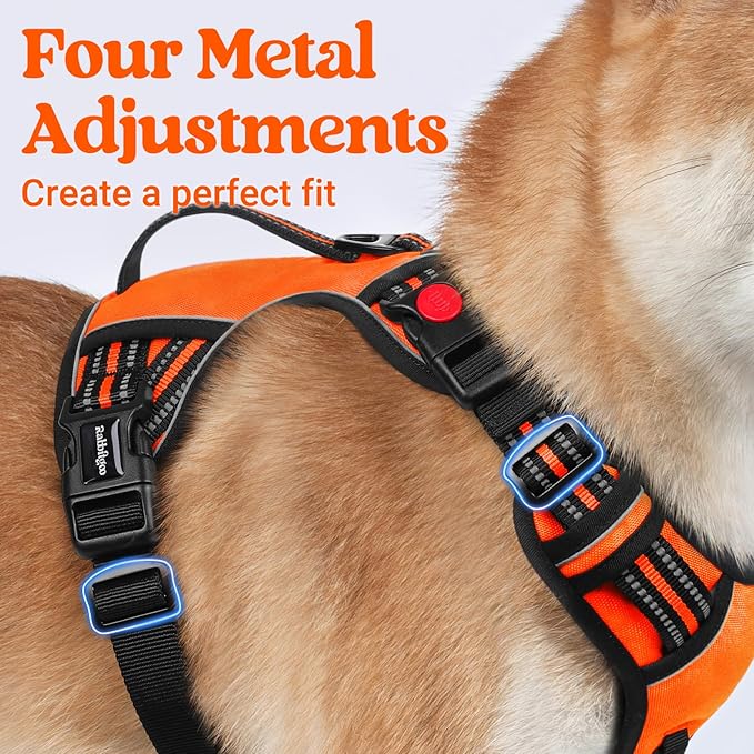 rabbitgoo Dog Harness Medium Sized, No Pull Pet Harness with Soft Padded Handle, Adjustable Reflective Vest with 3 Buckles, Easy Walking Harness with 2 Leash Clips, Orange, XL
