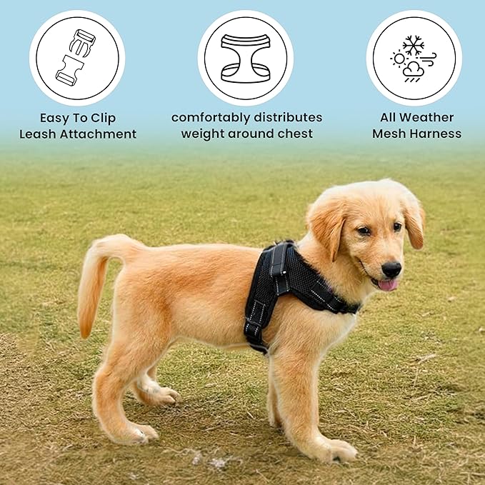 No Pull Reflective Adjustable Dog Harness With Handle- Comfortable Soft All Weather Mesh, Easy On Puppy Harness For Small Medium and Large Dogs (Black) Medium