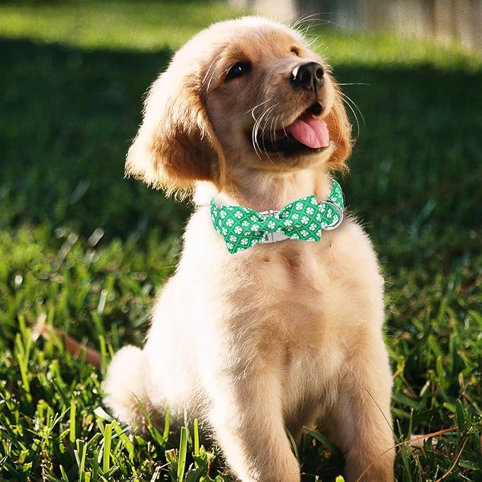 Maca Bates St. Patrick's Day Shamrock Dog Collar,Fancy Bow Tie,Large Girl Boy Dogs, Checkered Lucky Clover Pattern,Adjustable Durable Soft Checkered Collars Irish Gift for Male Female Puppy