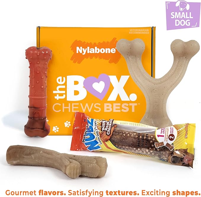 Nylabone Dog Gift Box, Includes 3 Strong Chew Toys and 1 Natural Treat, Gifts for Dogs, Small - Up to 25 lbs, 4 Pack