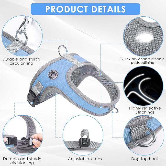 Dog Harness and Leash Set, No Pull Saddle Style Pet Harness, Breathable Mesh Adjustable Reflective Dog Vest for Dogs and Cat Medium Small Harness 2 D-Rings (Blue, S)