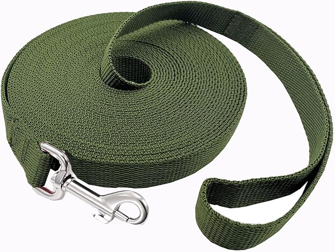 SALO Nylon Training Dog Leash for Small Medium Large Dogs, 1 Inch Wide, 20ft 30ft 40ft 50ft Long Leash Dog/Puppy Lead for Obedience Recall Training, Camping, or Backyard