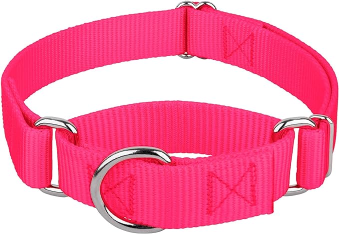 Country Brook Petz - Martingale Dog Collar - Heavy-Duty Training Collar with No Buckle - Service Dog Collar for All Pups - 10+ Warm Colors (Hot Pink, 3/4 Inch, Small)