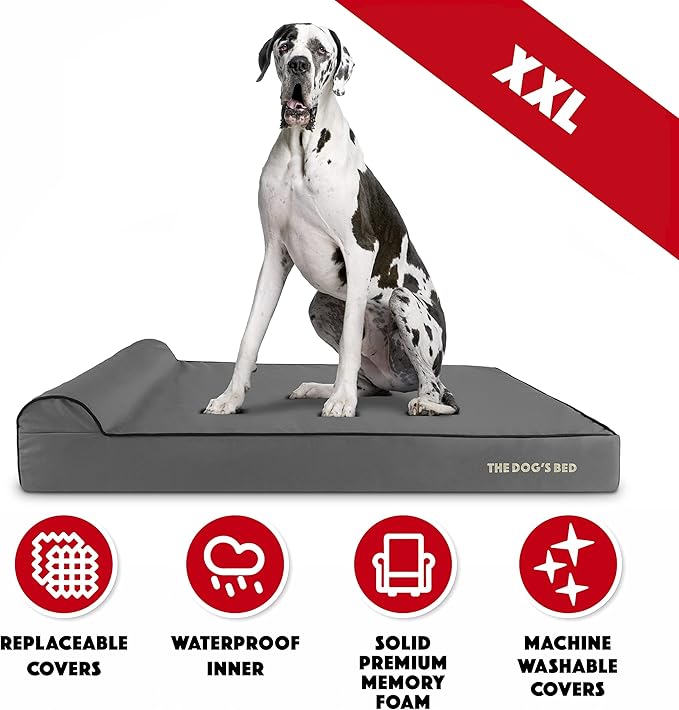 The Dog’s Bed Orthopedic Memory Foam Dog Bed with Headrest, Oxford Fabric, Grey with Black Trim, XXL, 6-Inch