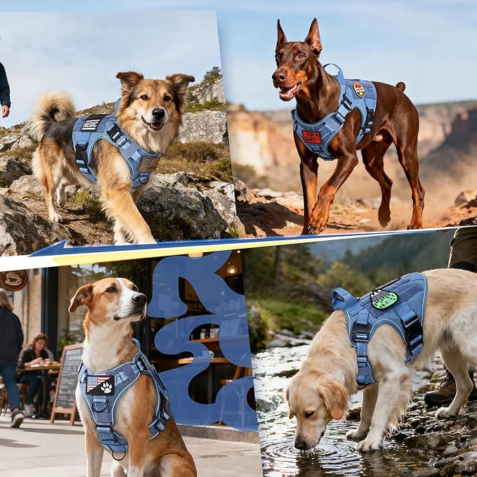 rabbitgoo Tactical Dog Harness Medium Large Sized, No Pull Upgraded Reflective Heavy Duty Molle Vest with Handle, Adjustable Military Service Dog Vest for Walking Hiking Training, Blue, M