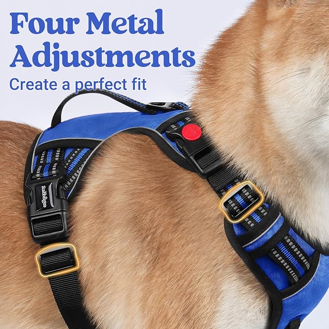 rabbitgoo Dog Harness Small Sized Dog, No Pull Pet Harness with Soft Padded Handle, Adjustable Reflective Vest with 3 Buckles, Easy Walking Harness with 2 Leash Clips, Blue, S