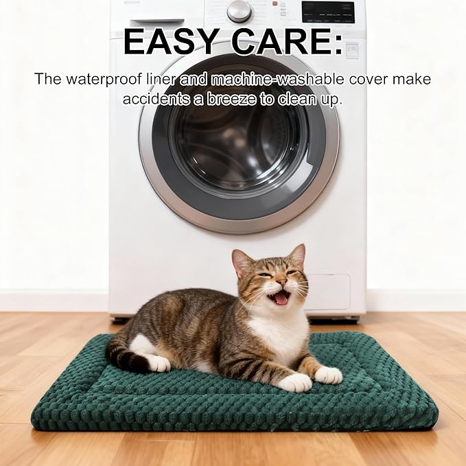 Dog Bed Mat - Dog Crate Pad - Reversible Mat for Pet Comfort - Soft Bed Crate Pads for All Seasons - Durable, Machine Washable Mat for Crates, Travel, and Home (Dark Green, 18" L*14" W*1.5" Th)