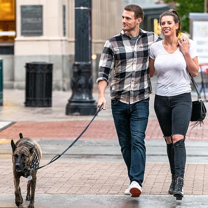 ECO-CLEAN 6 Ft Reflective Dog Training Leash, Shock Absorbing Retractable Strong Dog Leash for Medium Large Dogs