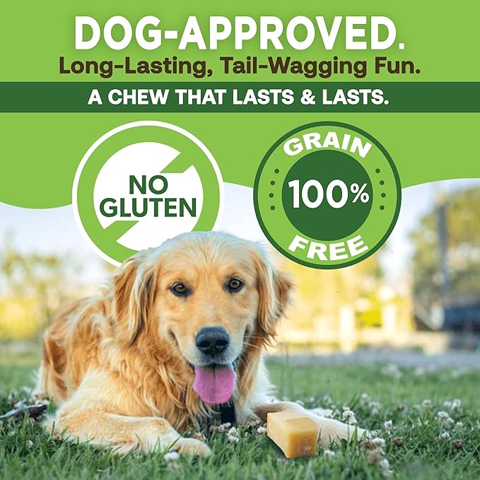 EcoKind Premium Gold Yak Cheese Himalayan Dog Chews, Healthy Dog Treats for Medium Dogs, All Natural, High Protein Dog Chew, Water Buffalo, Medium - 6 Chews