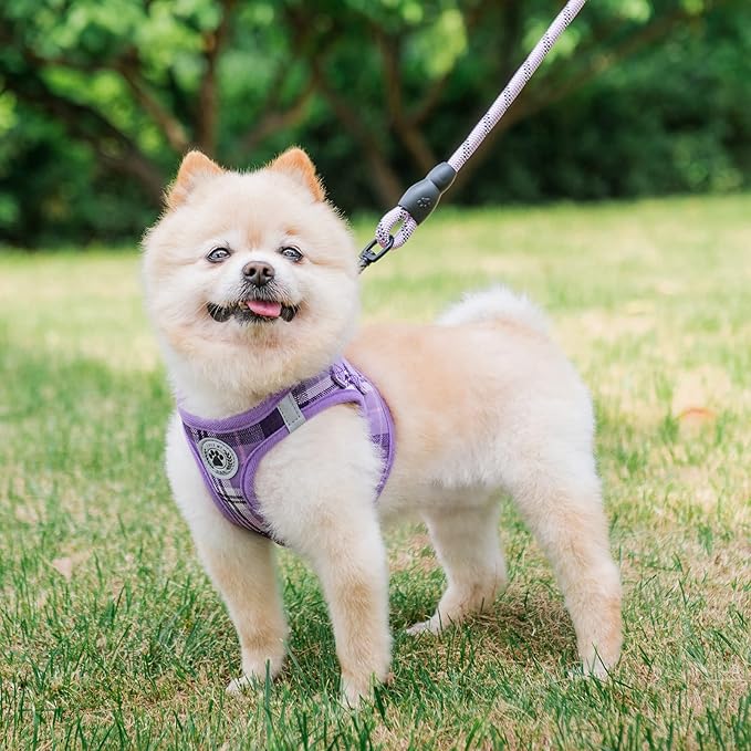 BEAUTYZOO Small Dog Harness and Leash Set,Step in No Choke No Pull Soft Mesh Dog Harnesses Reflective for Extra-Small Medium Puppy Dogs and Cats, Plaid Dog Vest Harness for XS S Pets, Purple XS