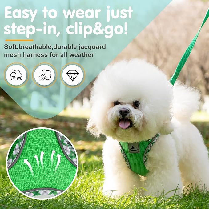 Dog Harness and Leash Set, No Pull Pet Harness for Small Dogs Easy Walking,Soft Breathable Small Dog Harness,Adjustable Reflective Step in Vest Harness for Puppy ,kitten, Cats