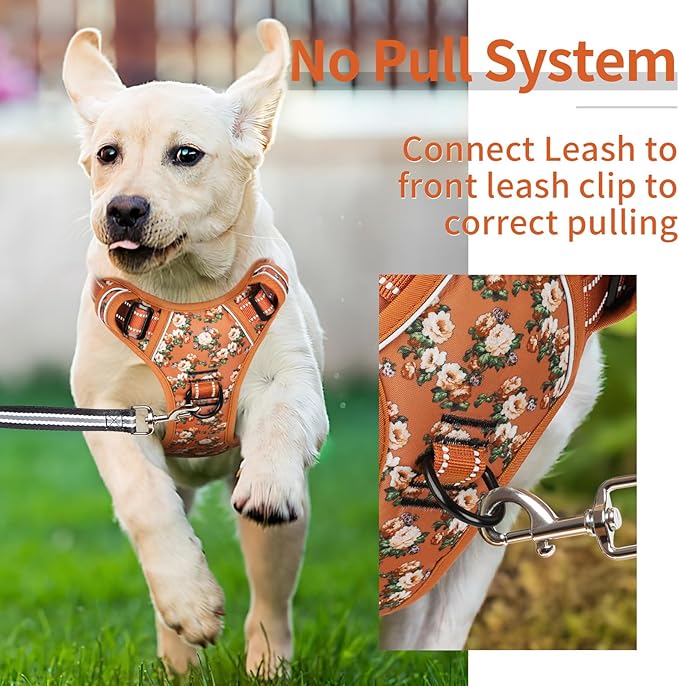 HEELE Dog Harness, No Pull Adjustable Padded Reflective Harness for Small Medium Large Dogs with Handle for Walking Training, Flower-Orange,M